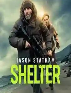 Shelter 2026