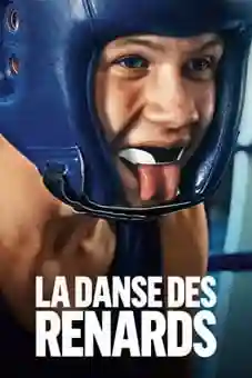 La danse des renards 2026