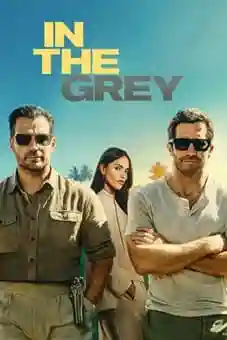 In the Grey 2026